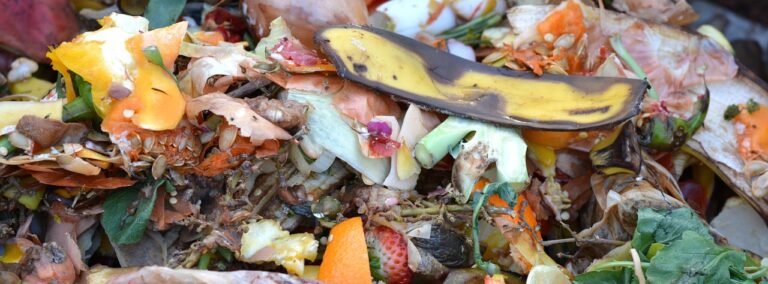compost, fruit and vegetable waste, banana peel, compost, compost, compost, compost, compost