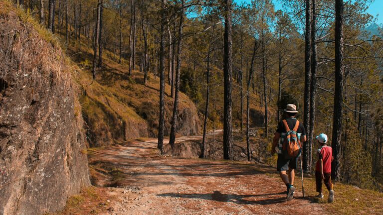 A father and son hiking on a scenic forest trail in daylight, surrounded by tall trees.