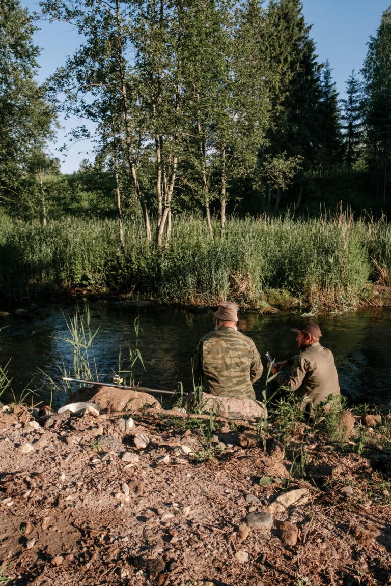 The Secrets of Camouflage: Nature’s Riddle of Survival