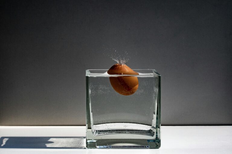 A brown egg mid-splash in a clear glass vase filled with water on a gray backdrop.